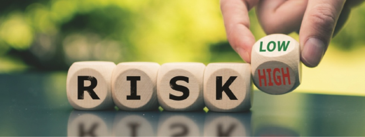 Understanding Risk