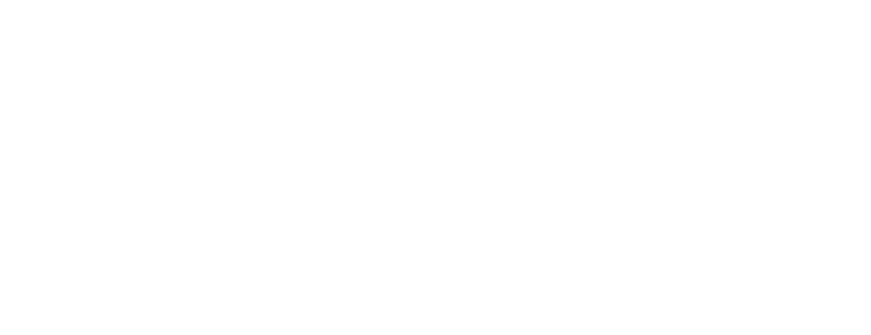 Logo Polaris blanc