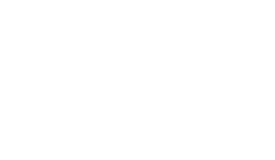Logo Vialis blanc