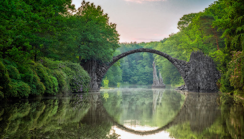 Photo of green leaf and sunlight
