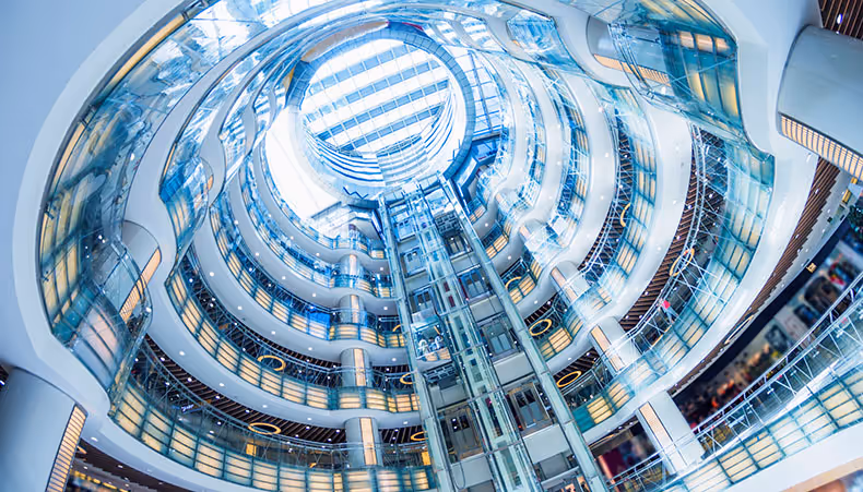 Photo of disabled woman shopping