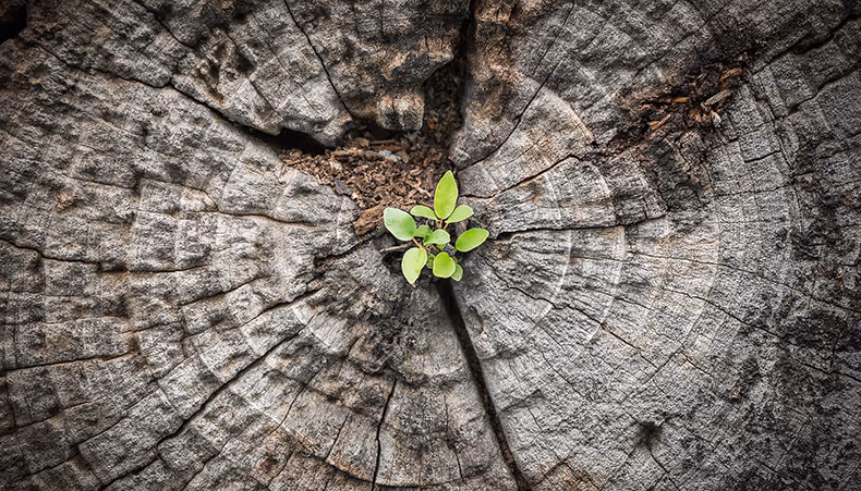 Photo of people with hands in the air