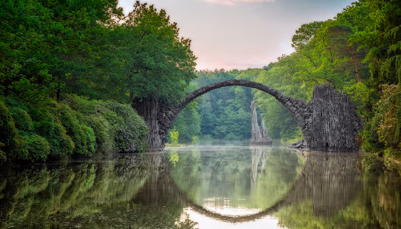 Photo of green leaf and sunlight