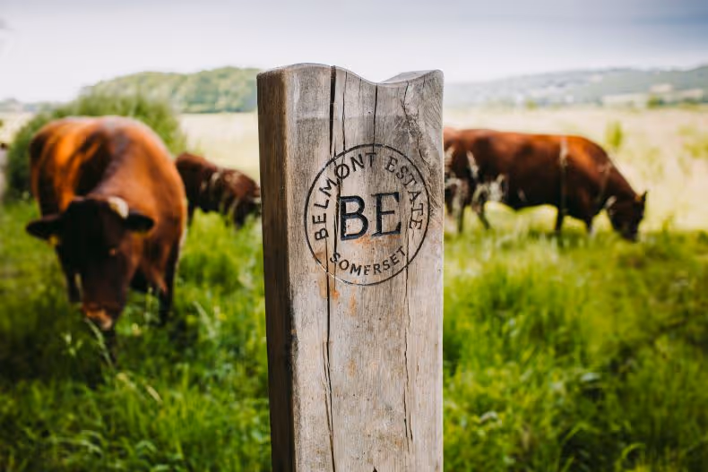 Credit: Belmont Estate