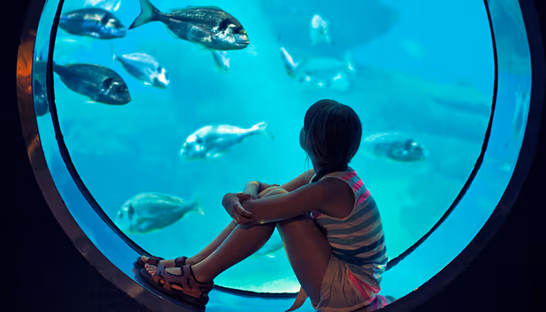 Photo of man pushing a stroller