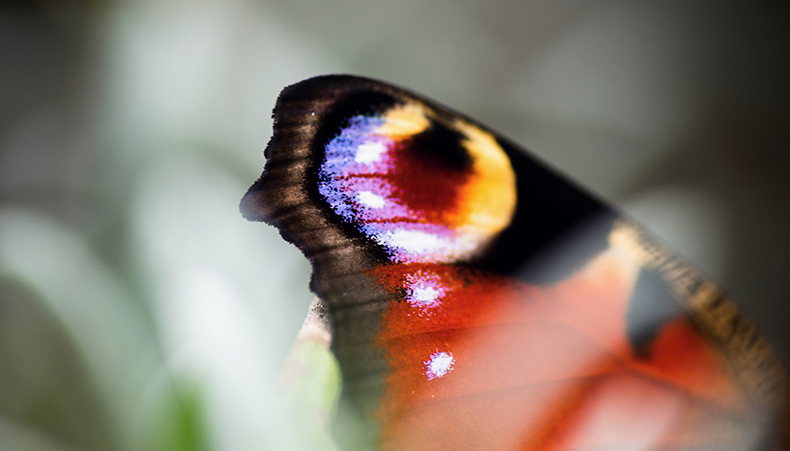 Photo of the Insolvency Service office