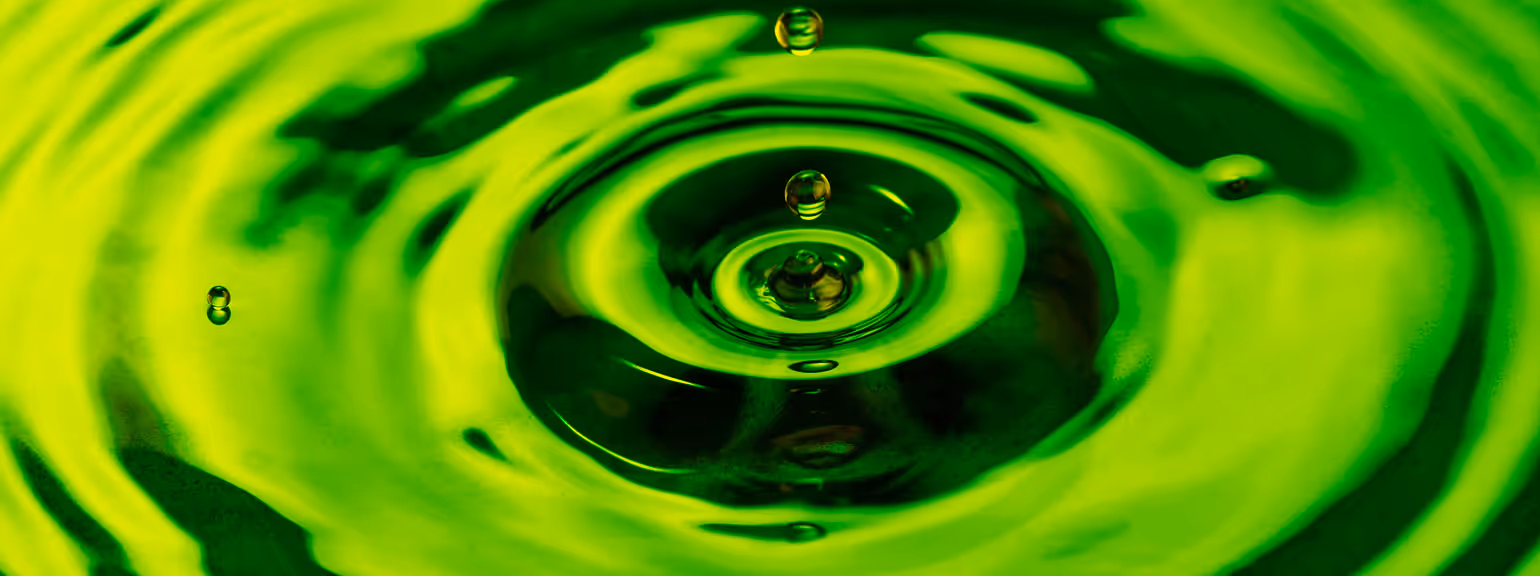 Trees outside of modern buildings