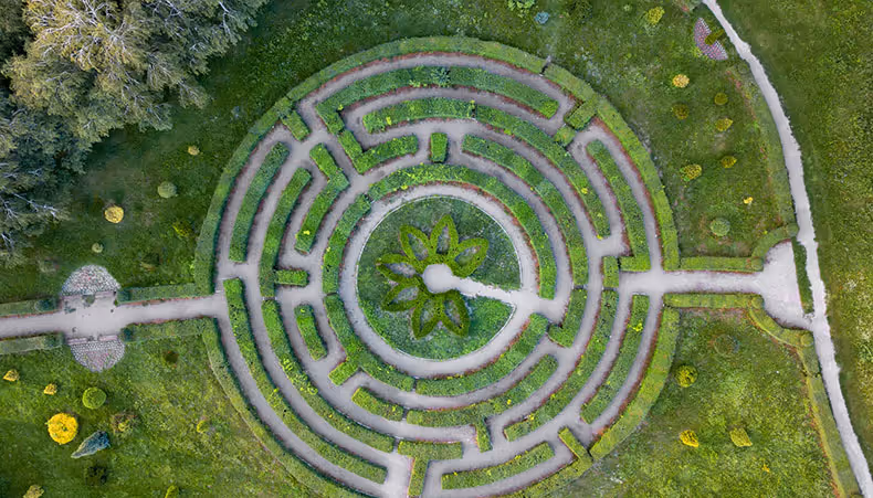 Green maze