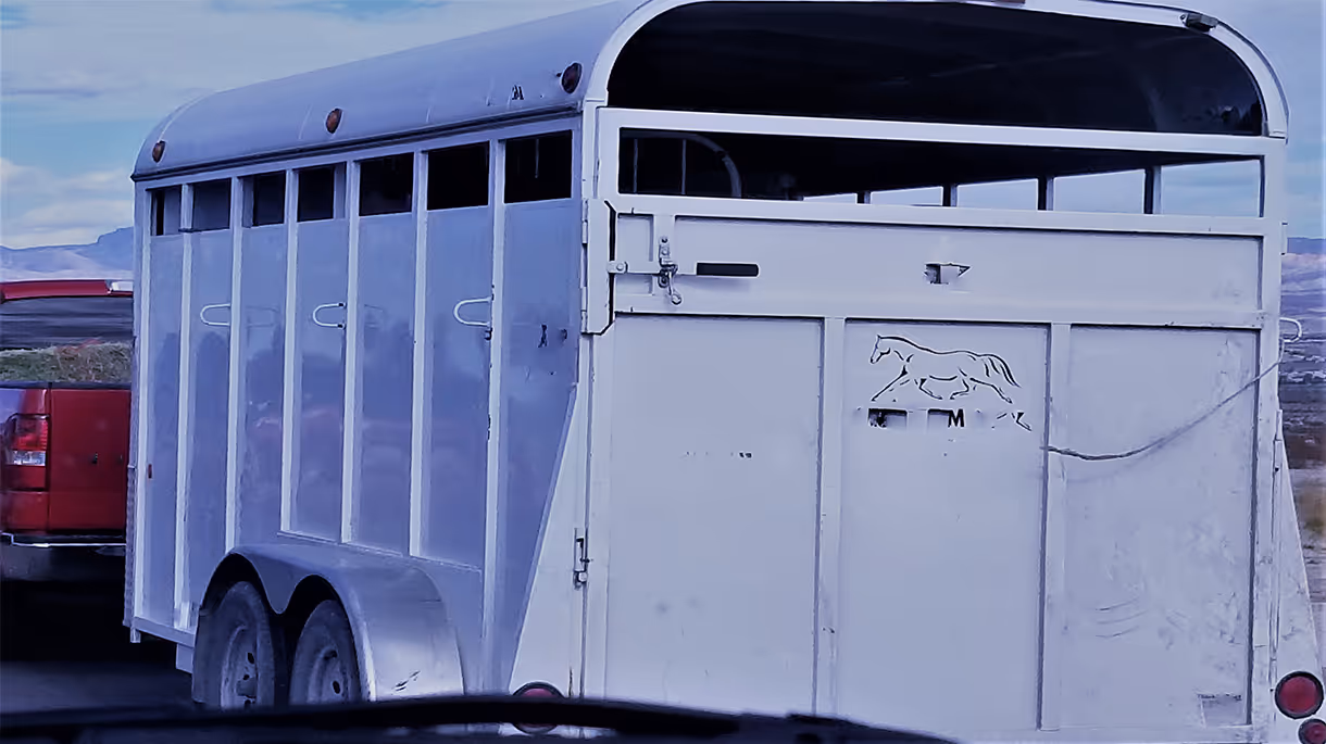 Dogwood Processing Animal PIck Up & Delivery Trailer