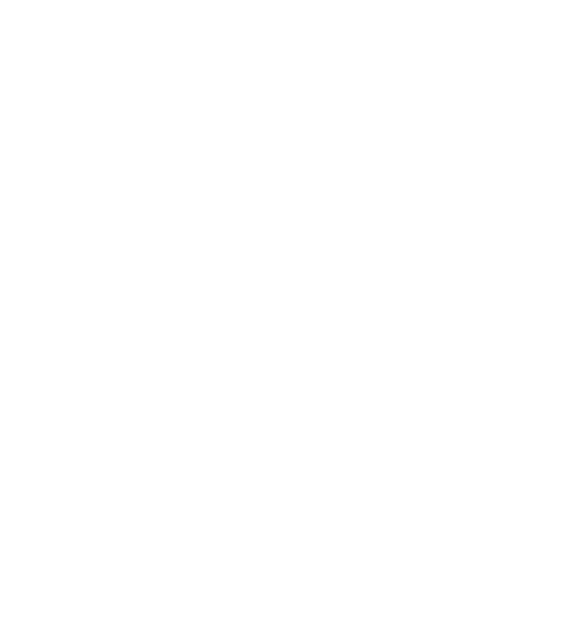 Blank white image with no discernible content or features