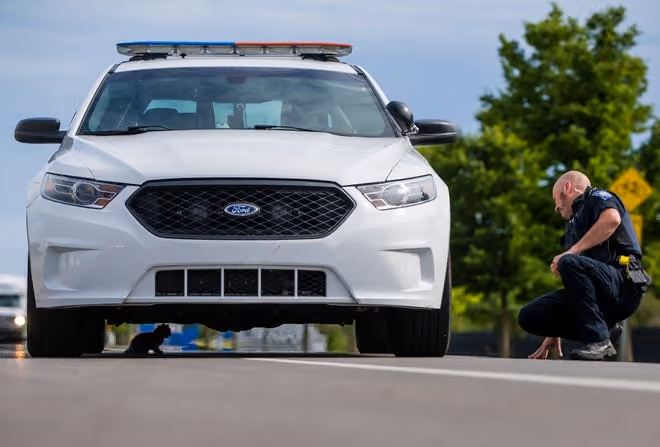 police in car camera system