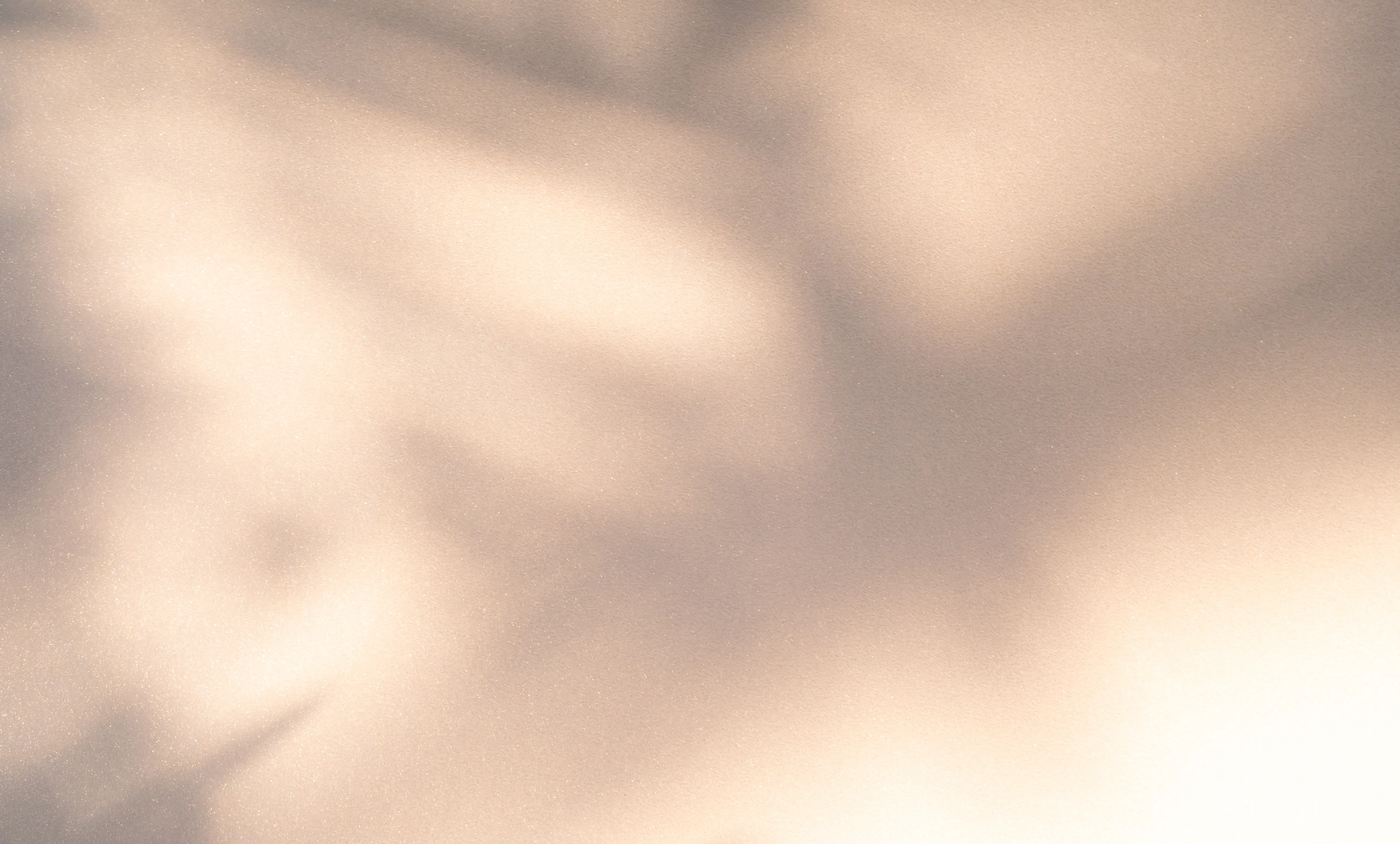 Soft shadows of leaves cast on a beige textured surface.