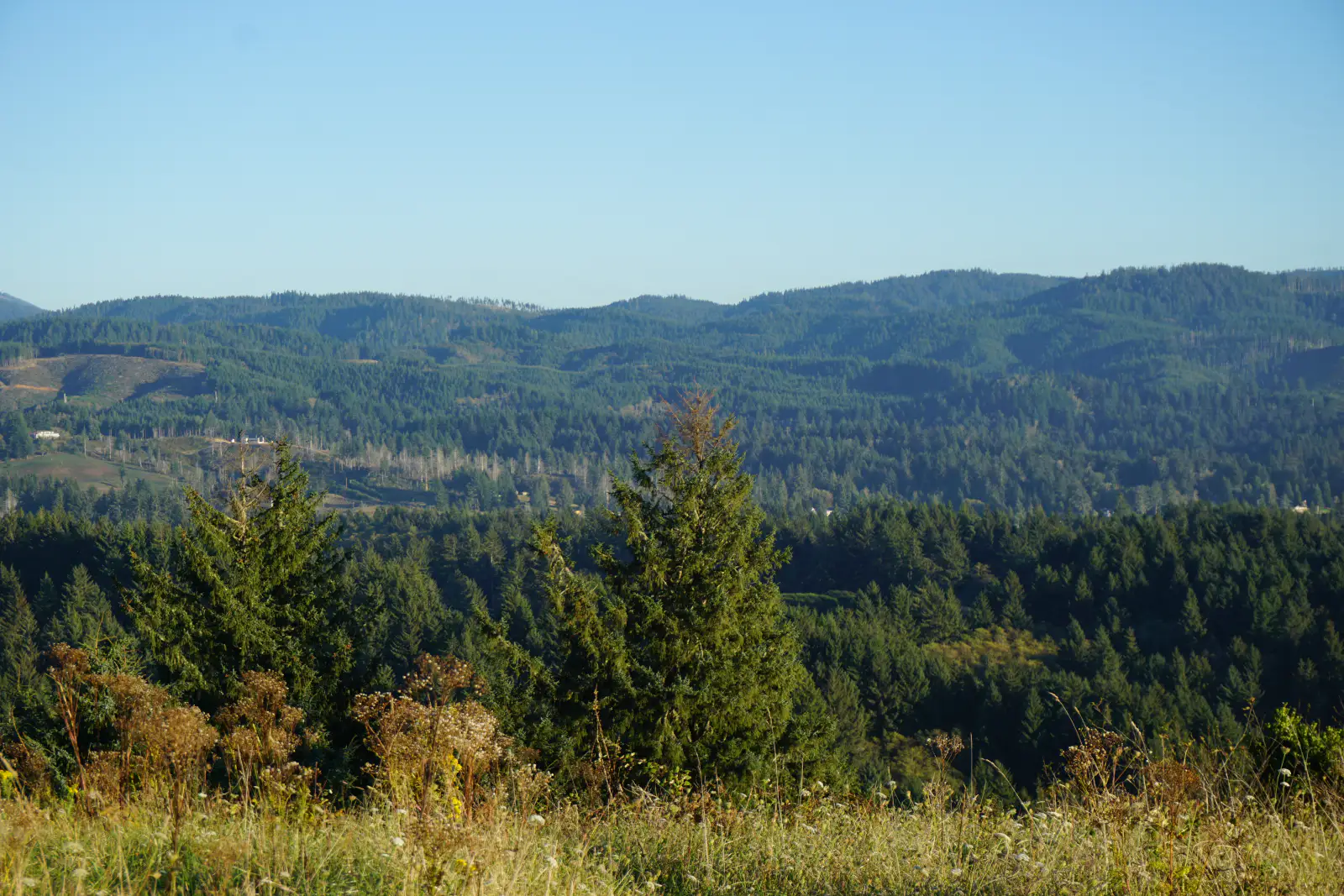 Forested hills and a wide green valley under a clear blue sky in Oregon.