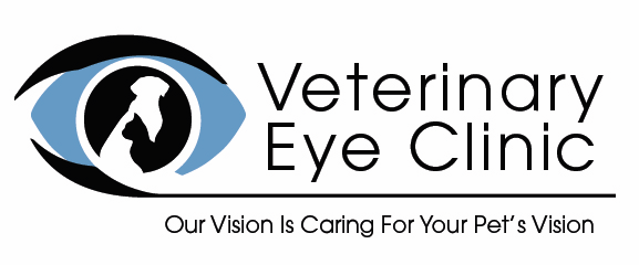 Veterinary Eye Clinic logo. Silhouette of dog and cat in the iris of an eye. 
