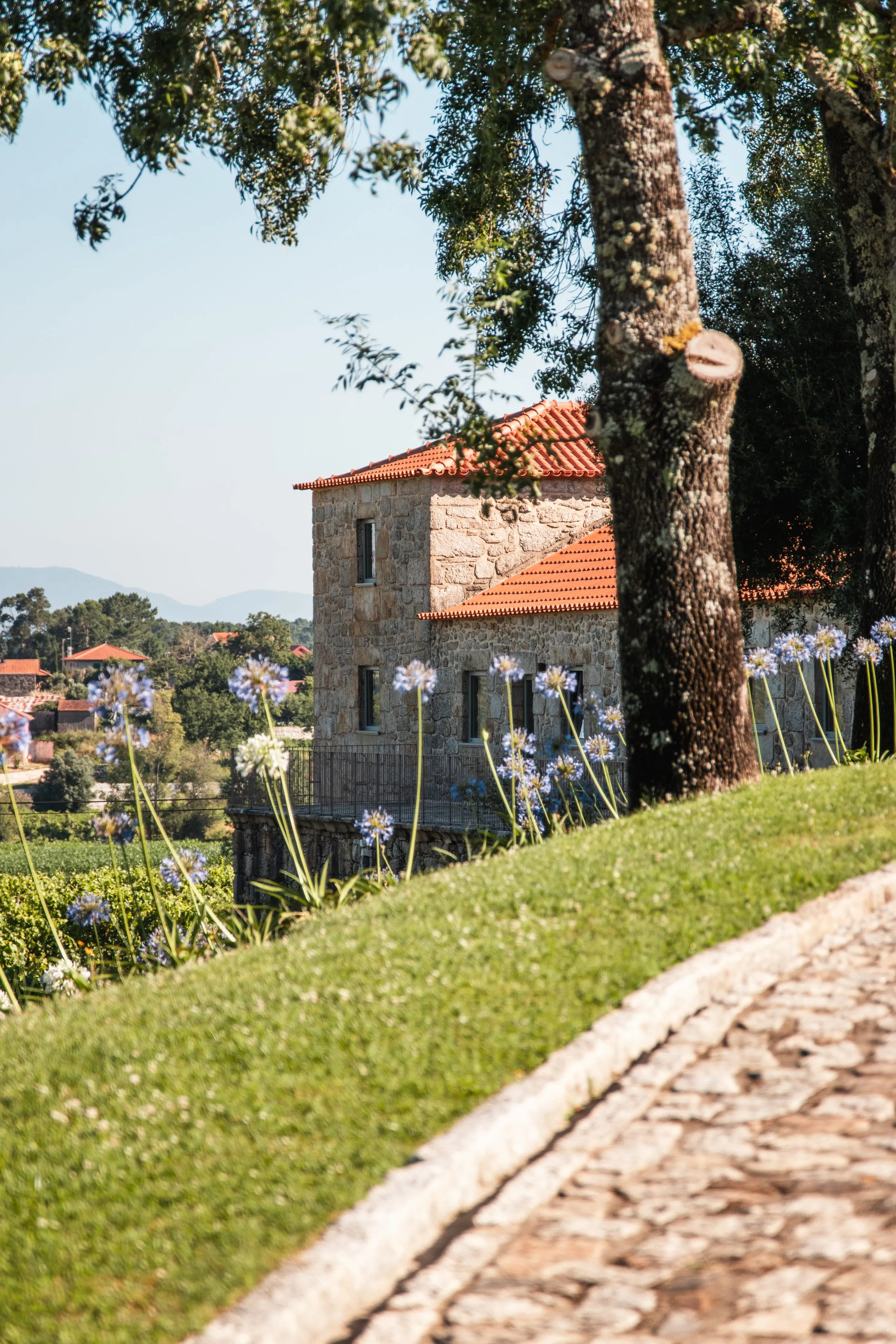 Quinta da Torre