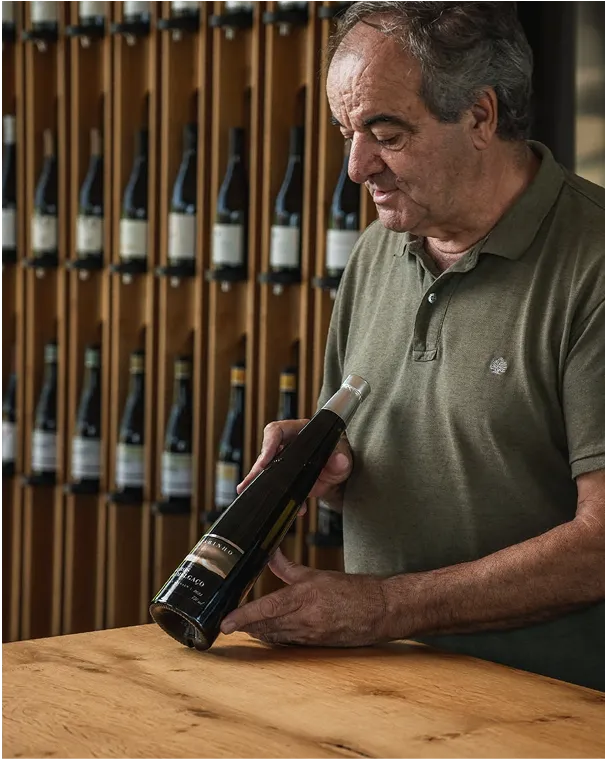 Descubra os nossos vinhos!