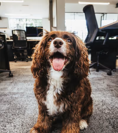 Our team member image