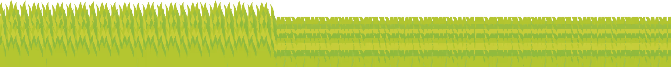 Grass blade illustration