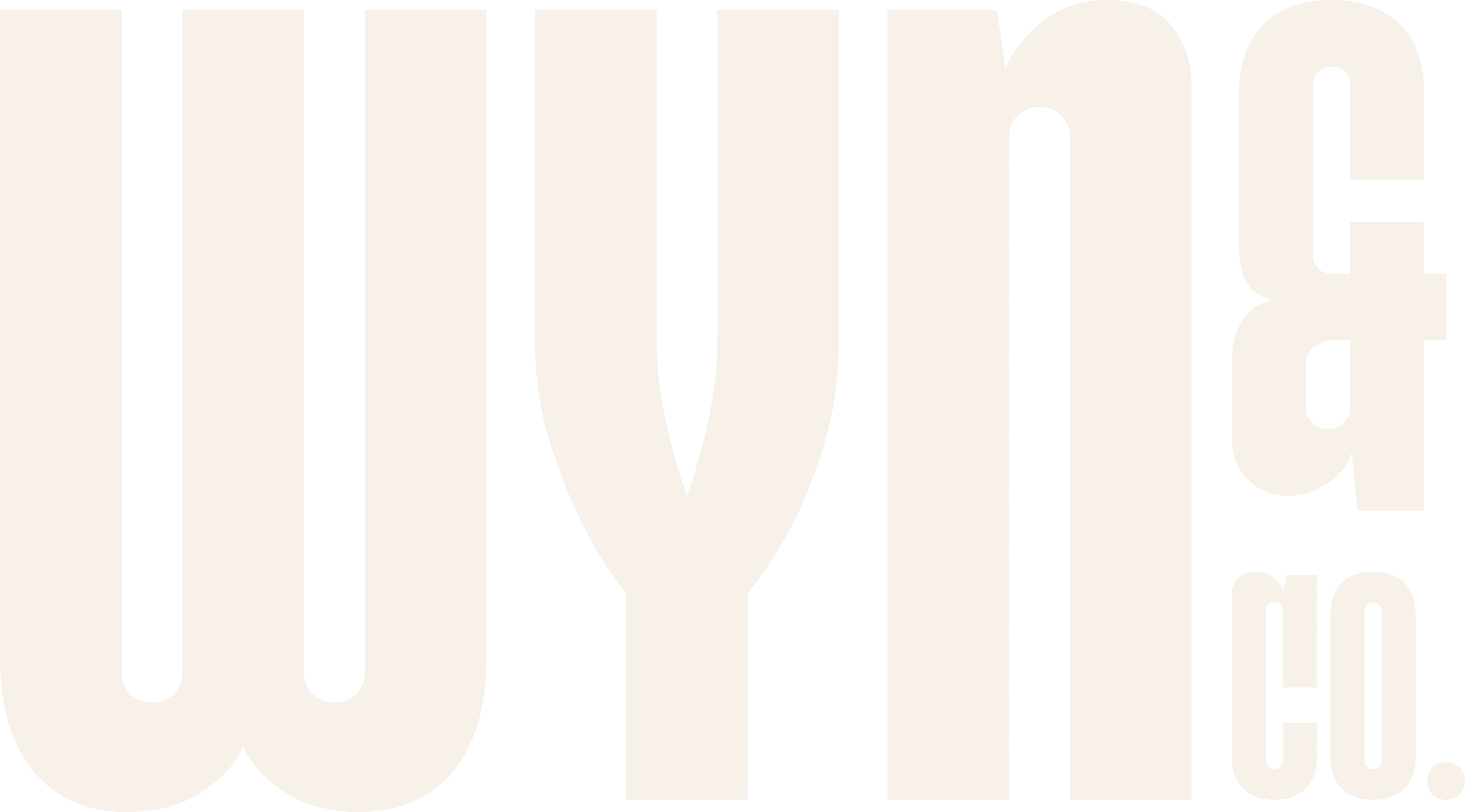 WYN & CO. wordmark logo in a light beige color on a white background.