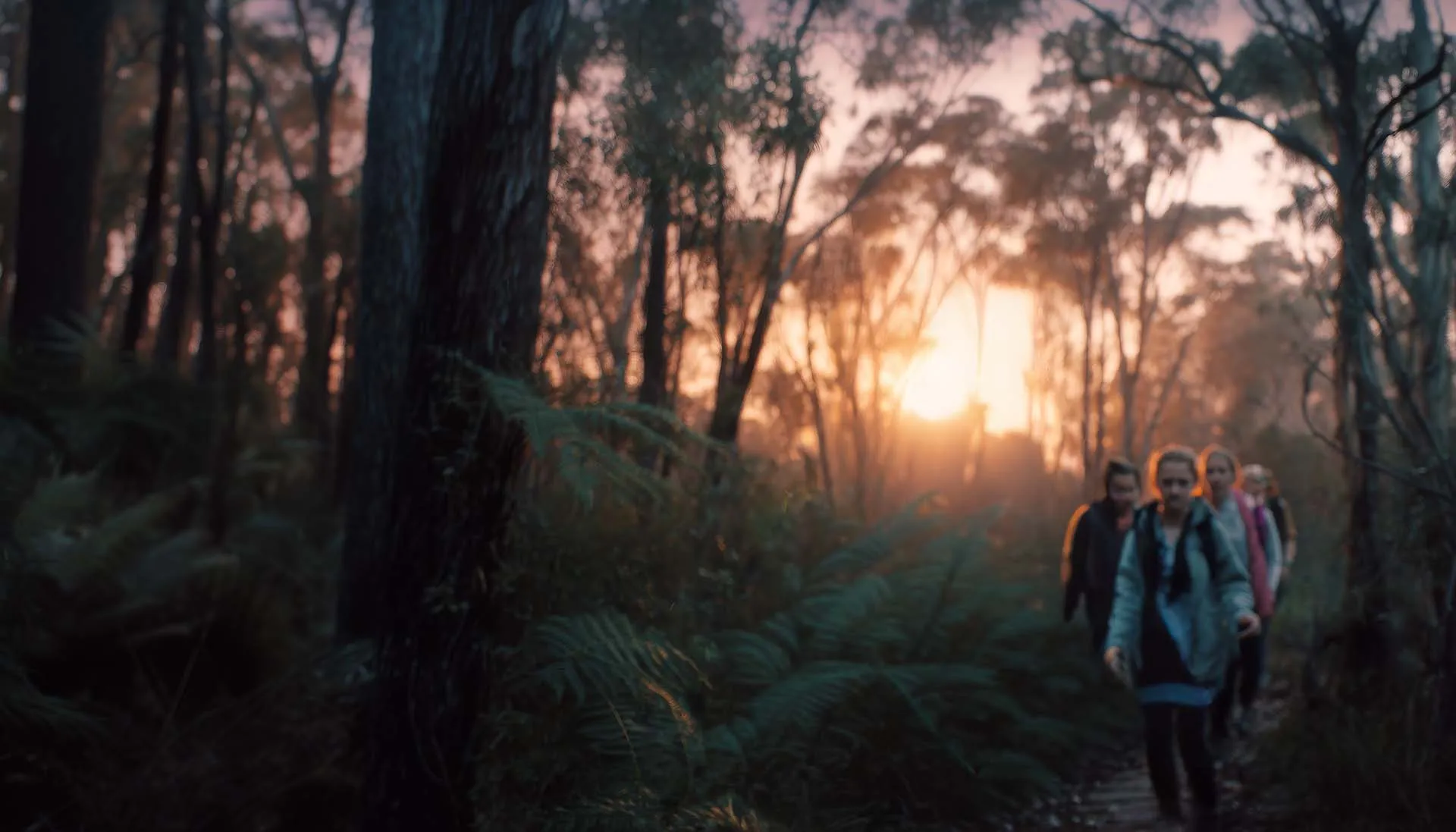 Four people walking on a narrow forest trail during sunset with tall trees and ferns around them.