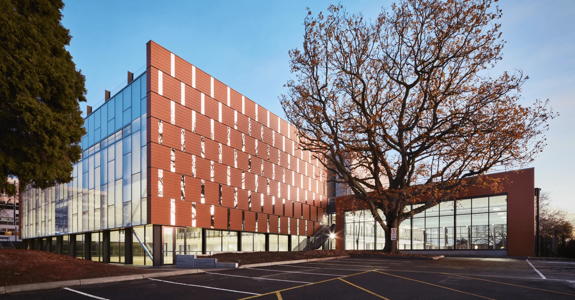 Modern campus building with large glass windows and a tall tree with autumn leaves in front, adjacent to an empty parking lot.
