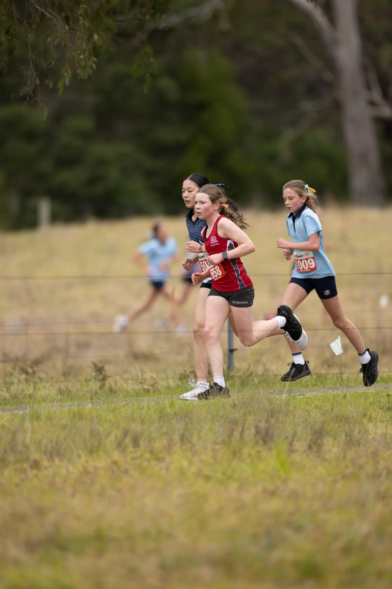 Young girls running a cross-country race on a grassy field with trees in the background.