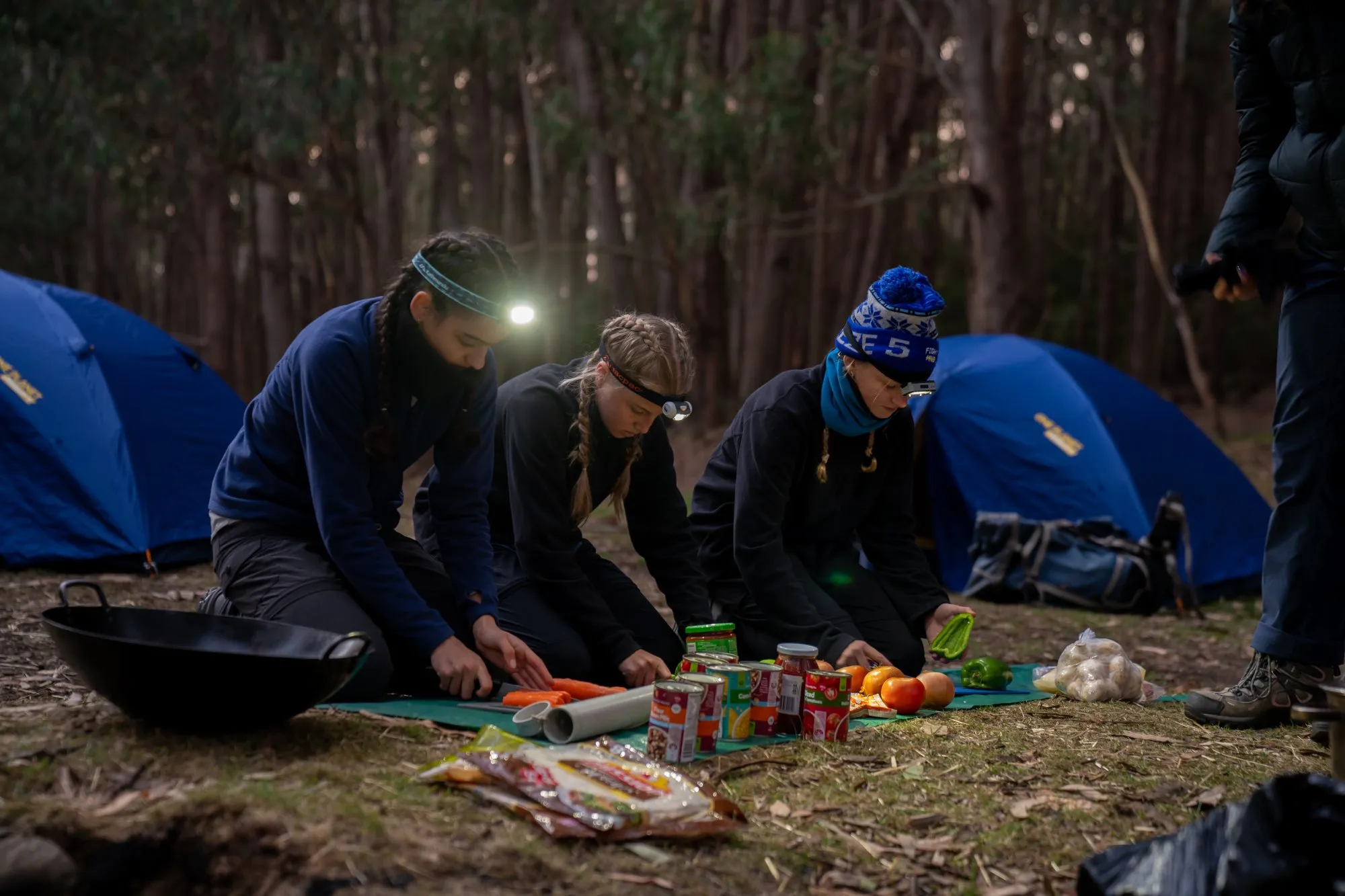 Three people wearing headlamps prepare food by chopping vegetables on mats outdoors near blue tents in a forest campsite at dusk.