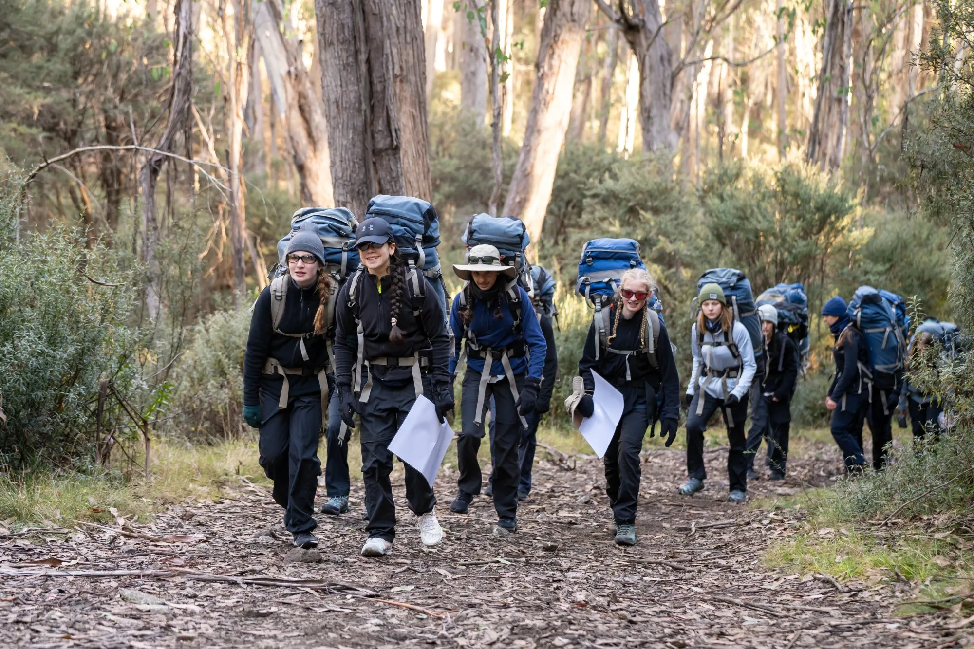Group of hikers carrying large backpacks walking on a forest trail surrounded by trees and bushes.