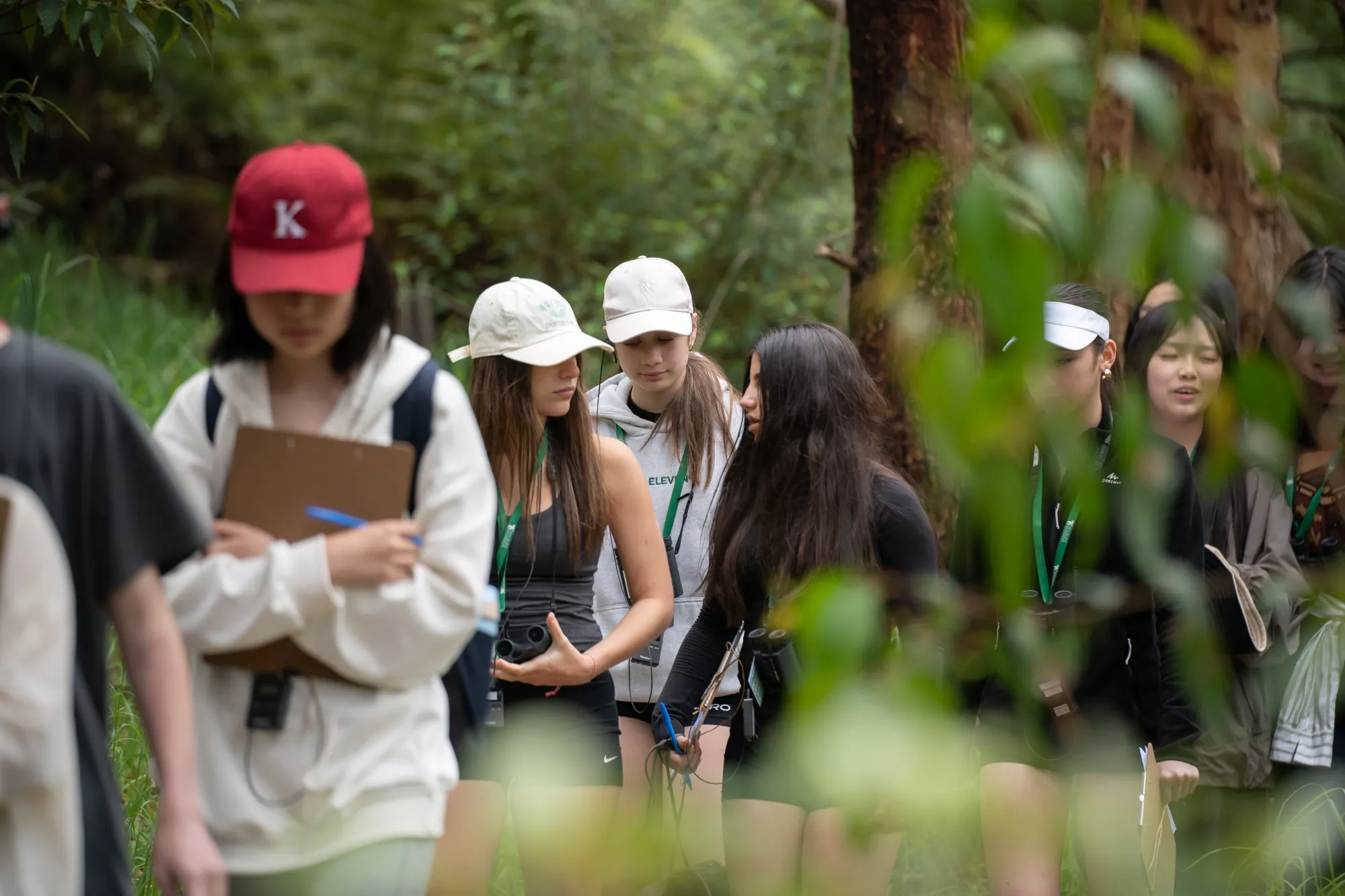 Group of young people walking through a forest, some holding clipboards and binoculars, engaged in an outdoor activity.
