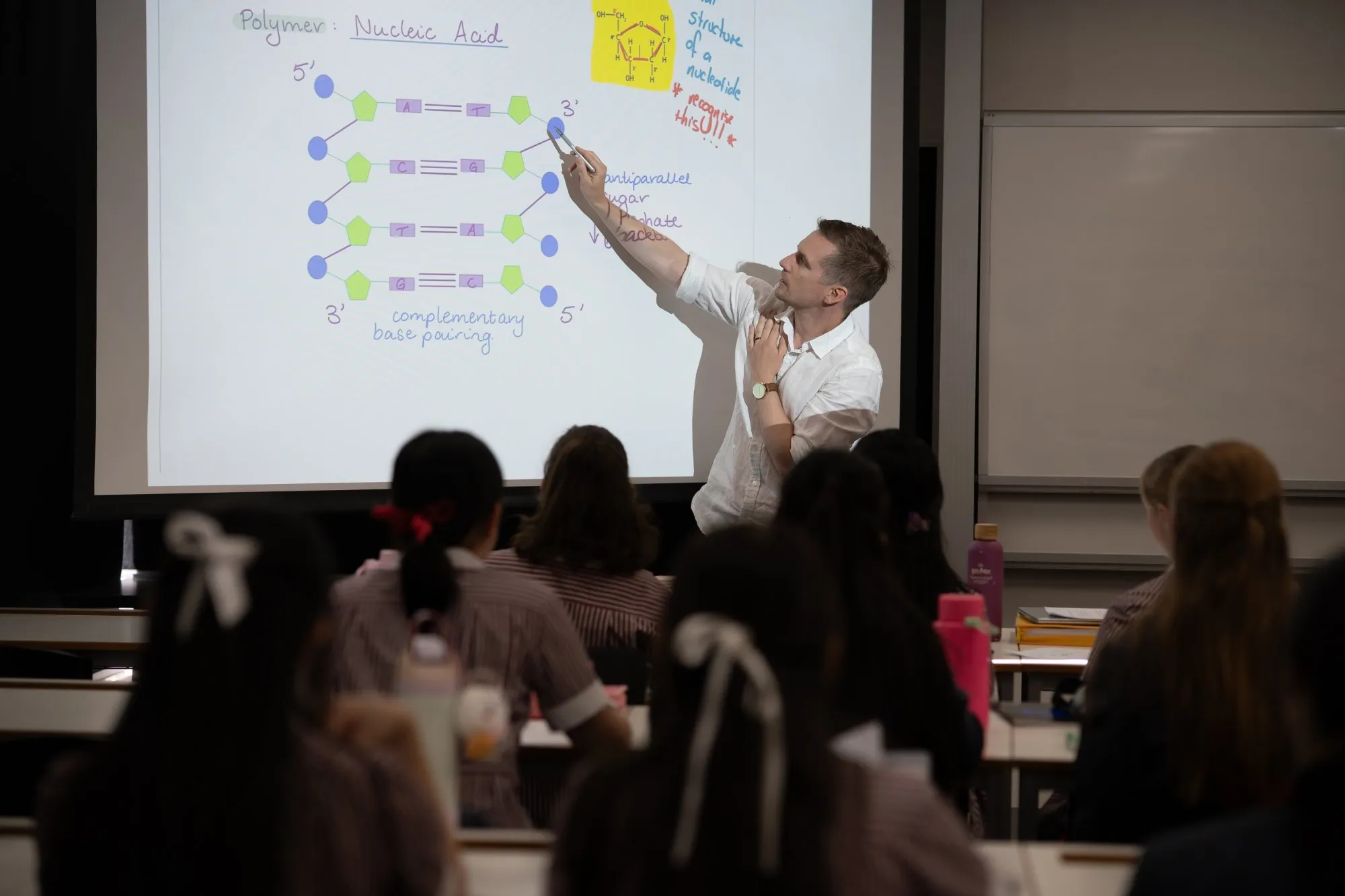 Teacher pointing to a projected diagram of nucleic acid structure during a classroom lesson with students watching.