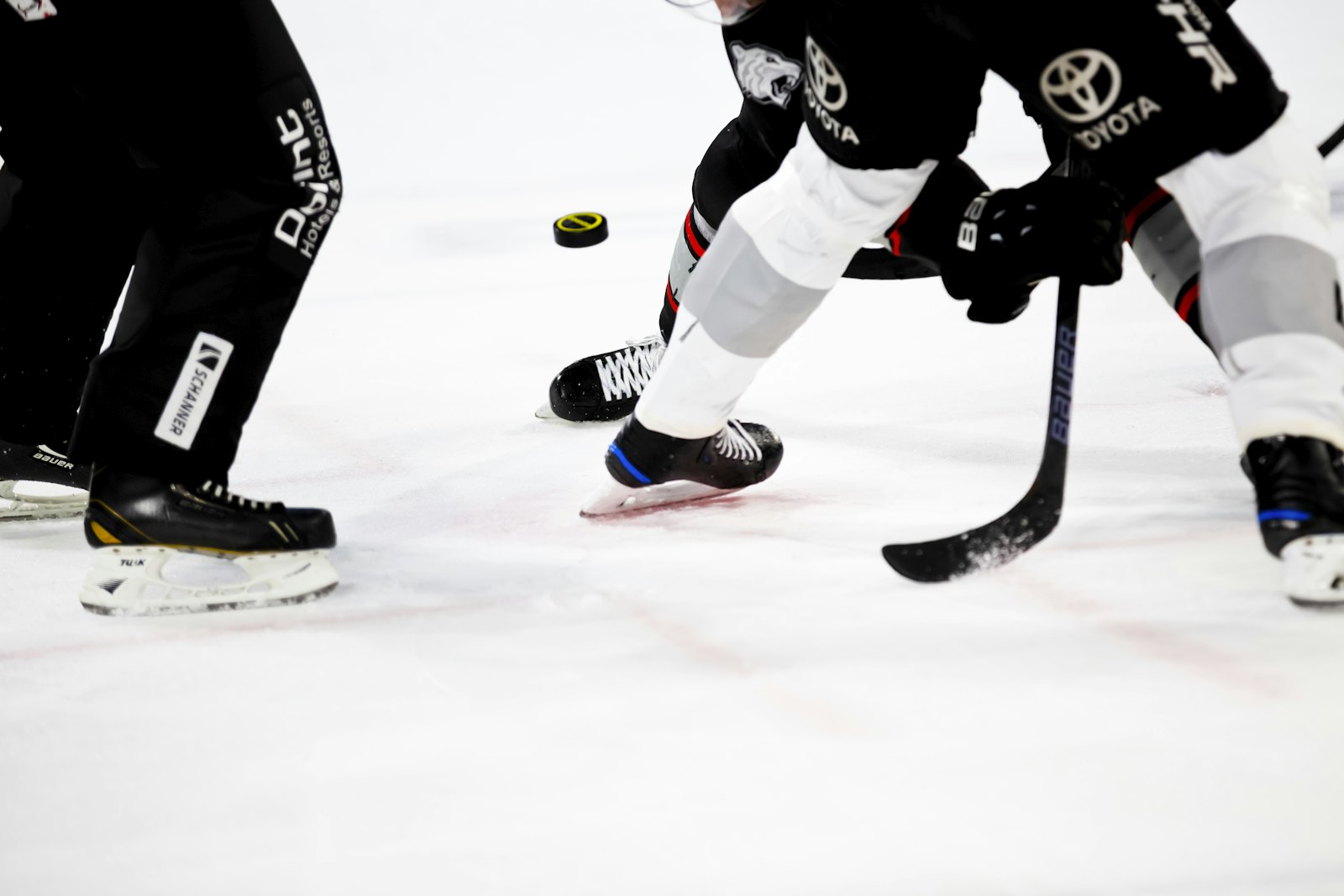 Patinoire de hockey vide avant la mise au jeu