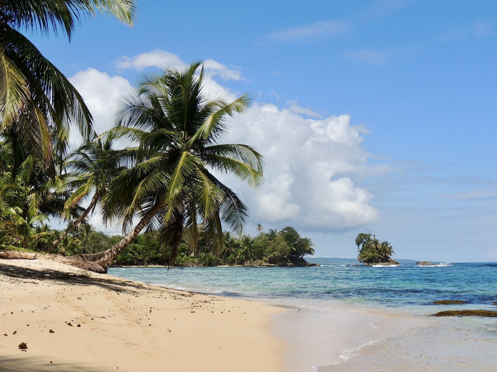 Plage tropicale bordée de palmiers, évoquant le décor panaméen d'Occupation Double