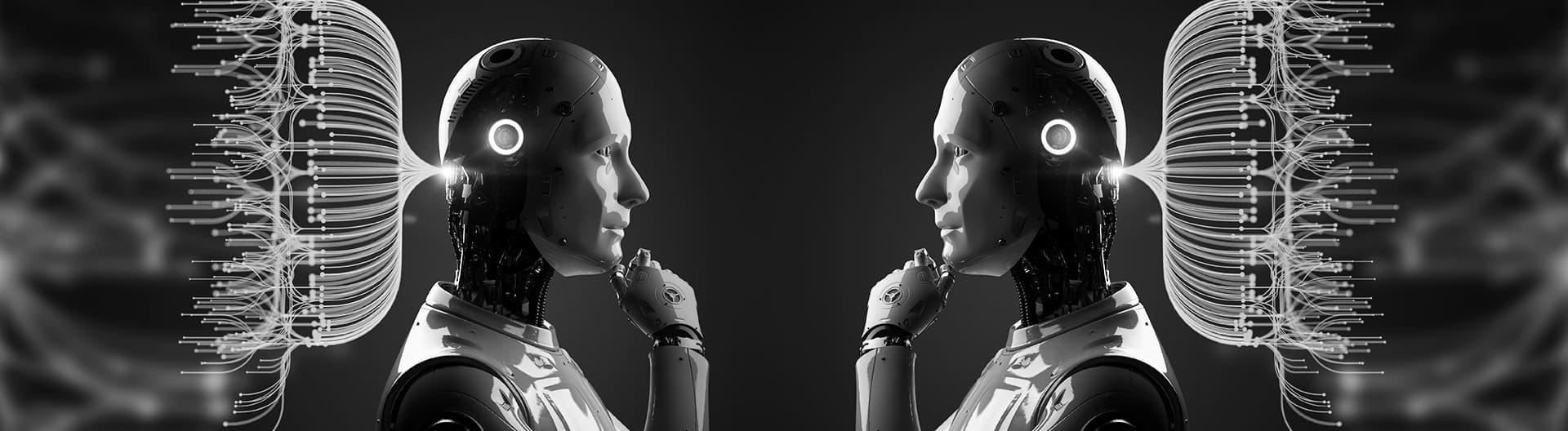 Conversational Shopping and the Future of E-Commerce