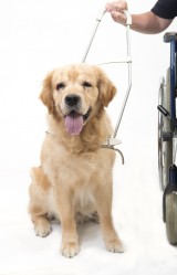 Another Way to Help Special Populations