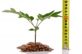Measure, Improve & Grow Your Business' Profit!