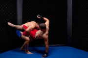Fitness Firm Case Study: UFC Gyms