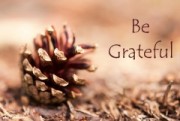 Seven Sources Of Authentic Seasonal Gratitude