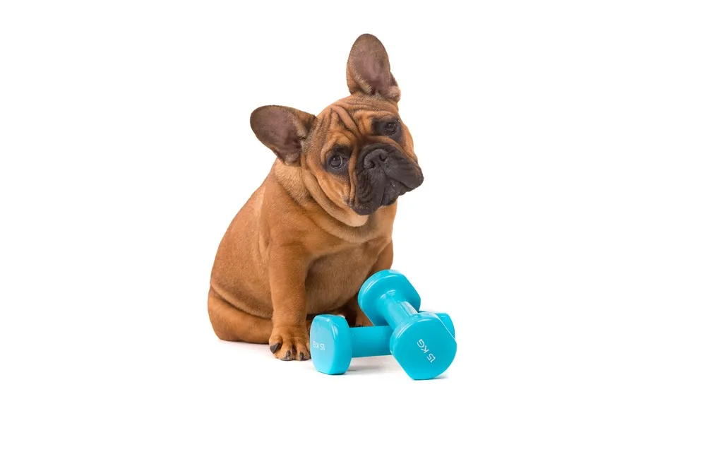7 Customer Retention Tips For Busy Gym Owners