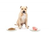 Promote Your Gym Business By Eating Your Own Dog Food