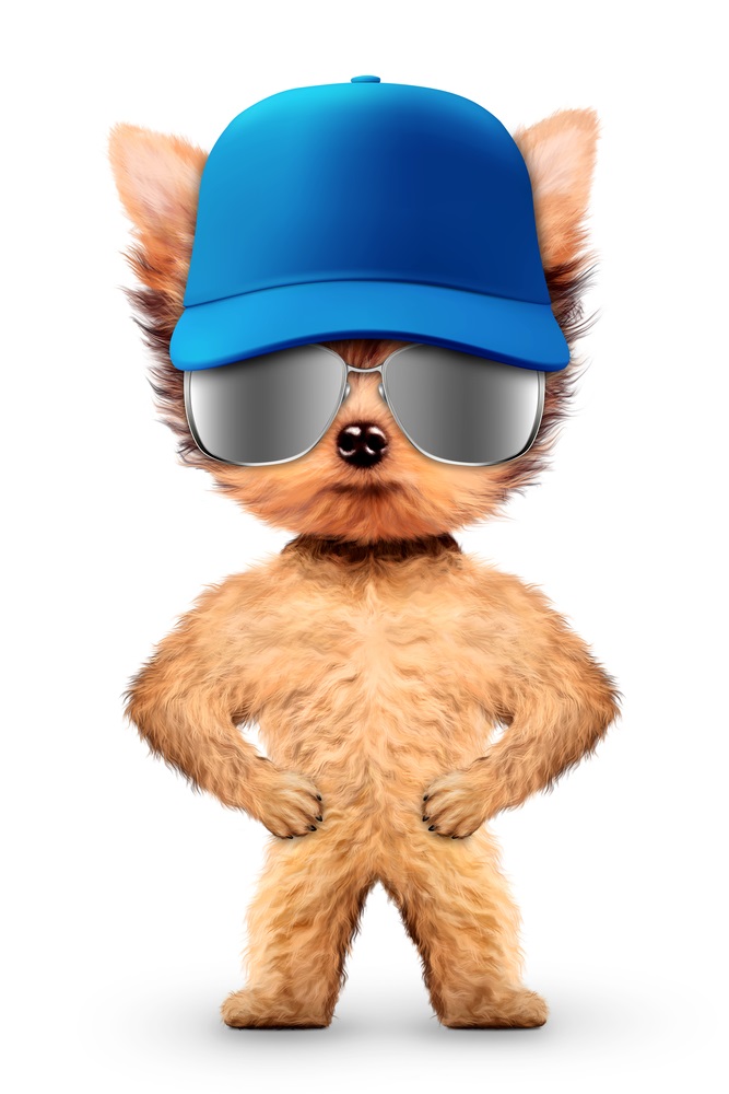 Keep Your Fitness Center Clean And Make Safety The Priority