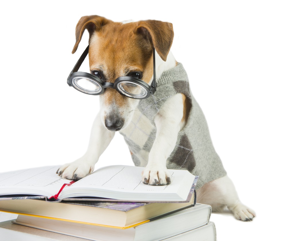 Fitness Business Decisions Based on Bayesian Priors