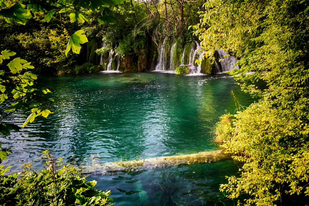 Alternative Fitness Club Revenue Streams: To Add or Not to Add