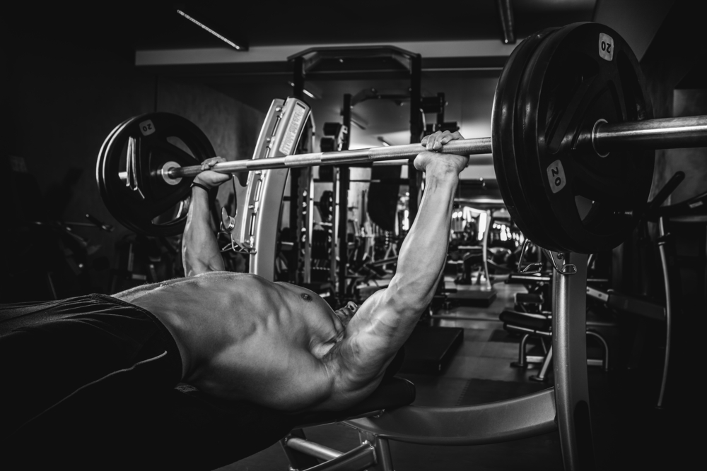 Exercise Series 5: The Bench Press