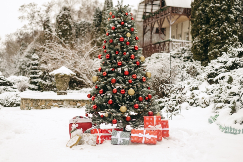 Where were you in 1925? Merry Christmas from the 21st Century.