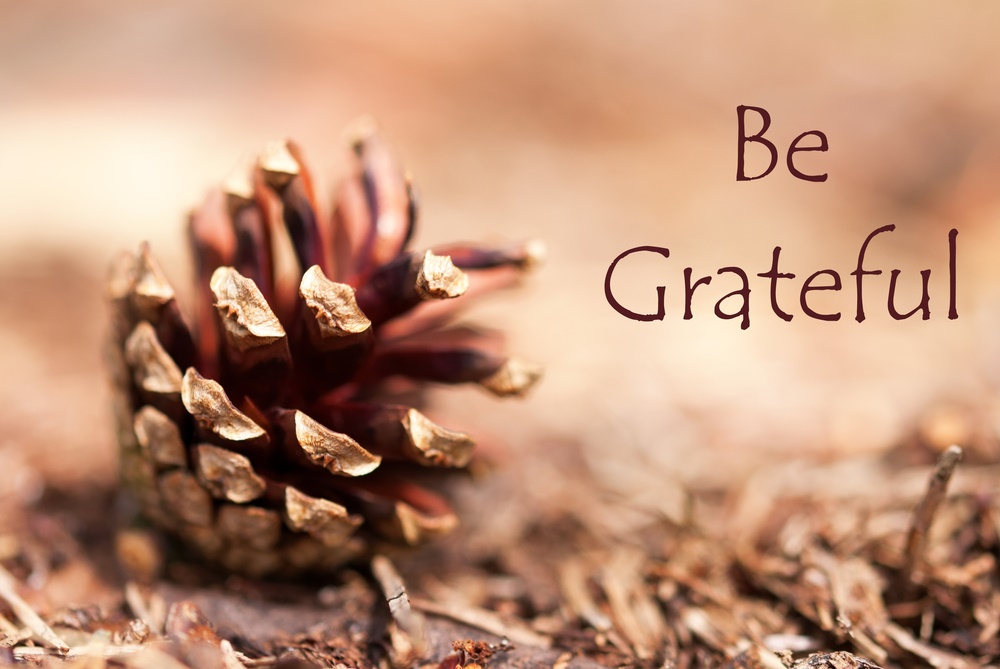 What Are We Grateful for This Thanksgiving?