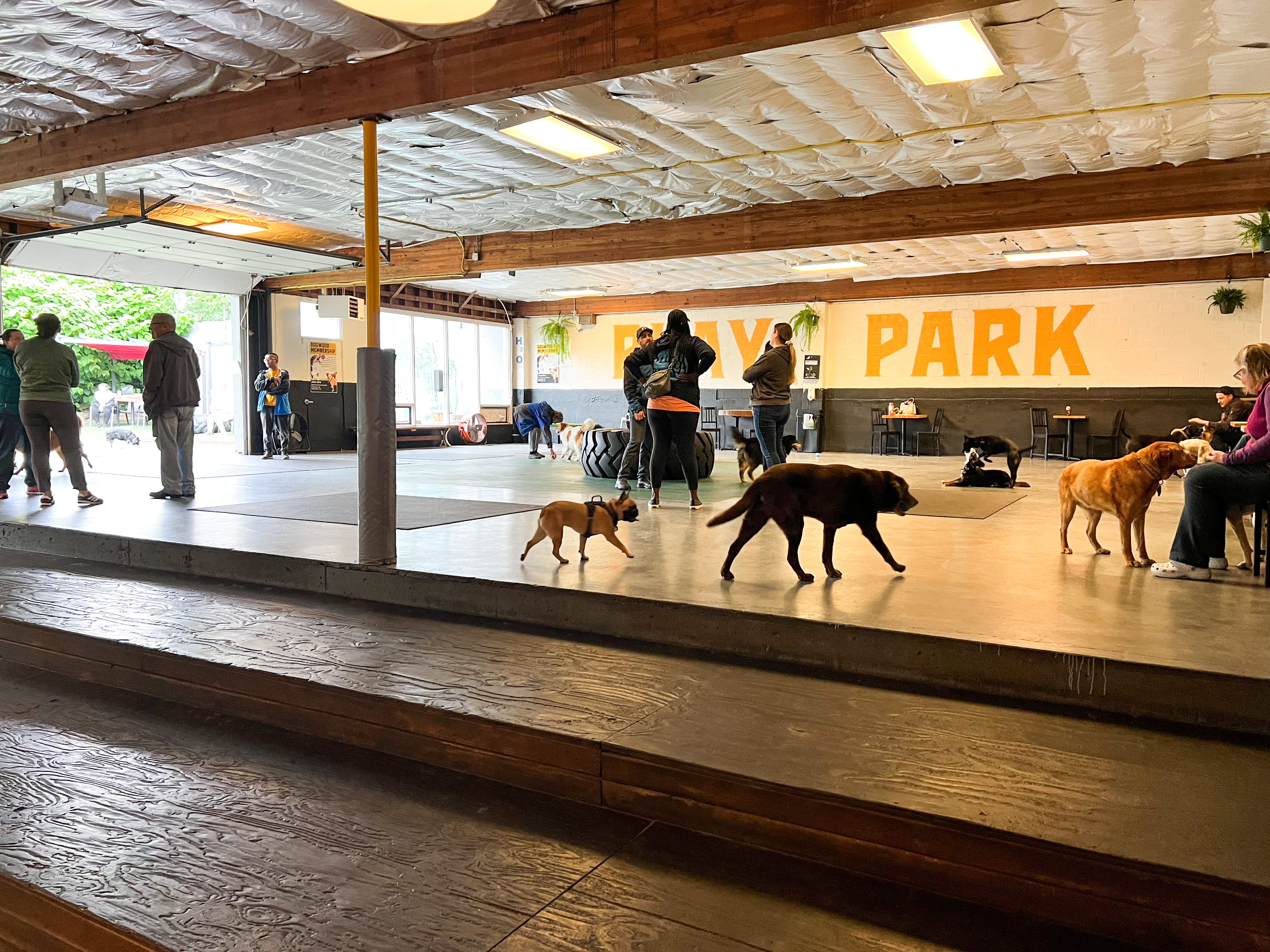 Need Automated Door Access but Not a Gym? Here's Why Gym Insight Works for You Too.