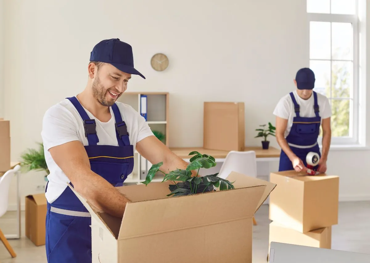 Potted houseplants being packed into boxes for a move