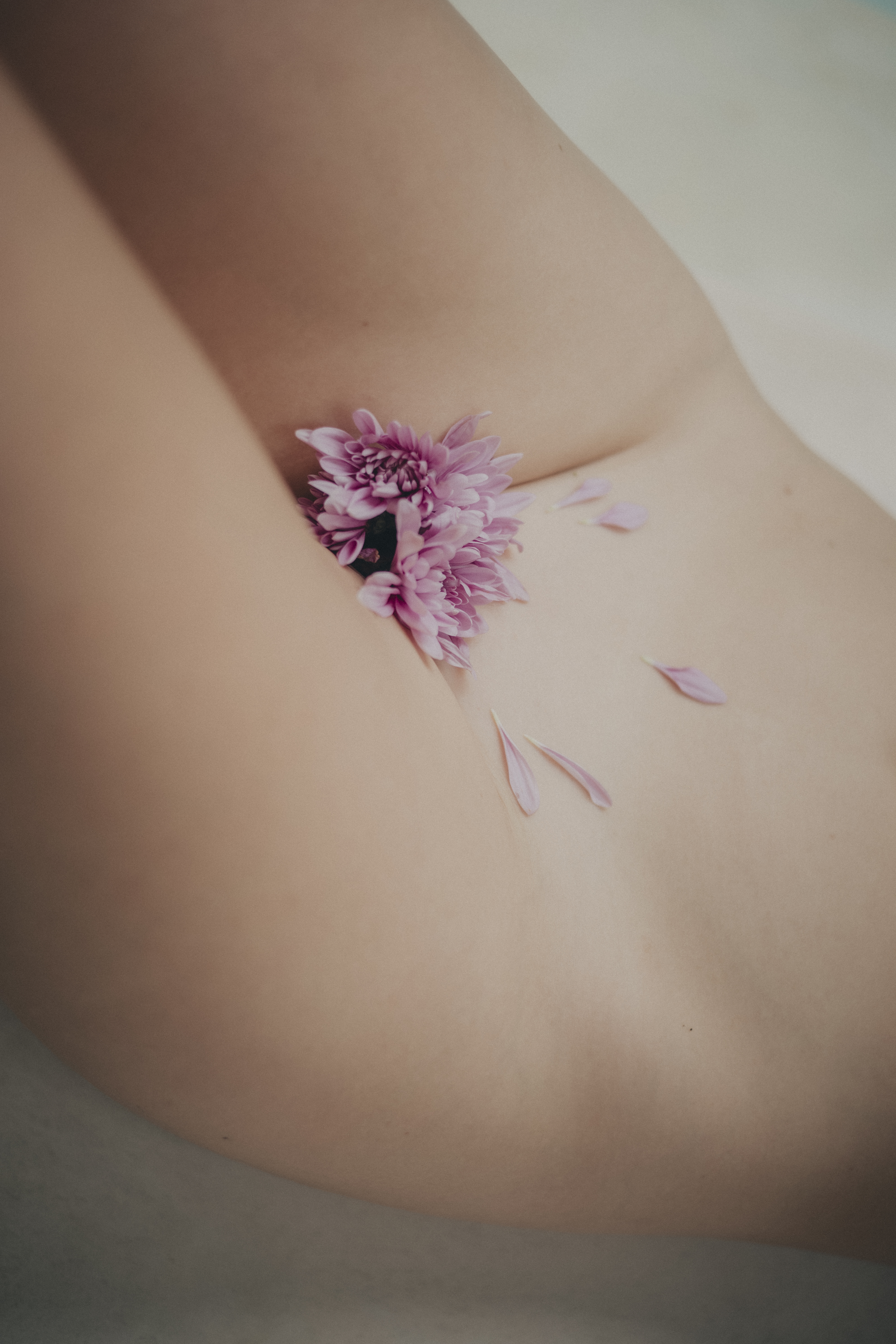 Close-up of flower petals resting on skin