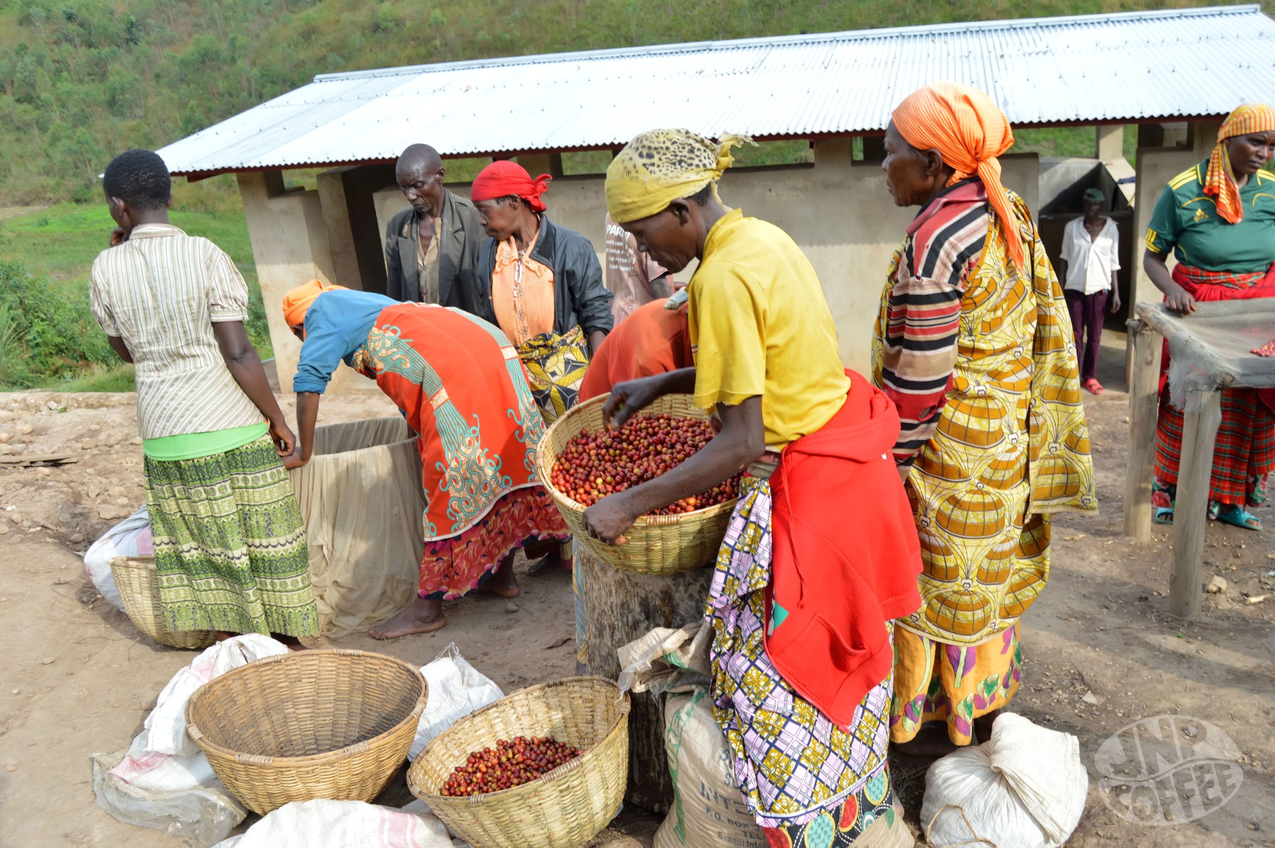 Burundi coffee farmers