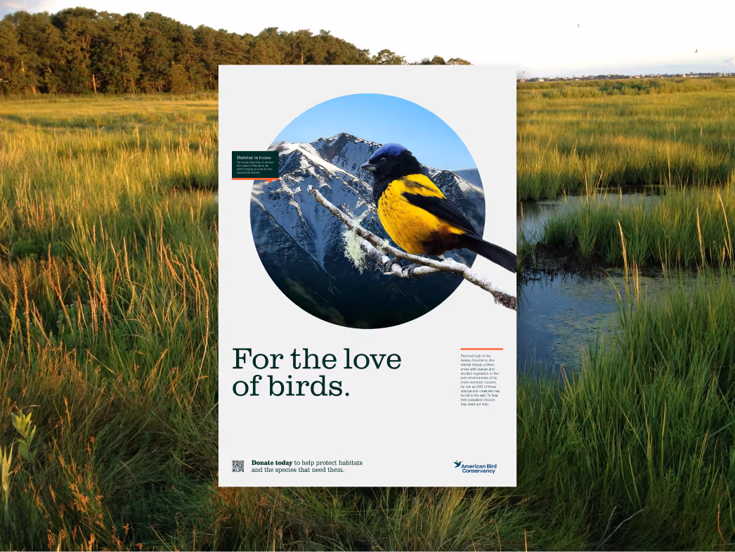 Poster with a colorful bird perched on a branch against a mountain background, with text encouraging support for bird habitat conservation.